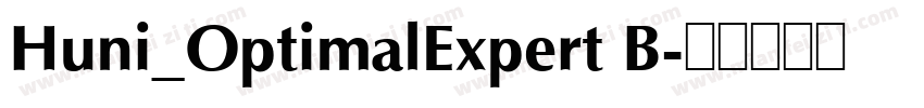 Huni_OptimalExpert B字体转换